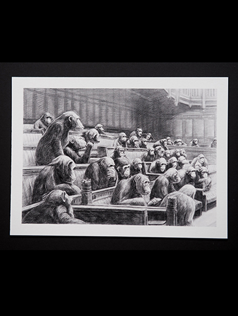Buy Mason Storm Monkey Parliament I - Signed Sketch Print Mason Storm