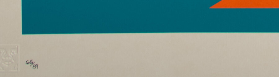 Shepard Fairey - Noam Chomsky limited edition print with embossed stamp